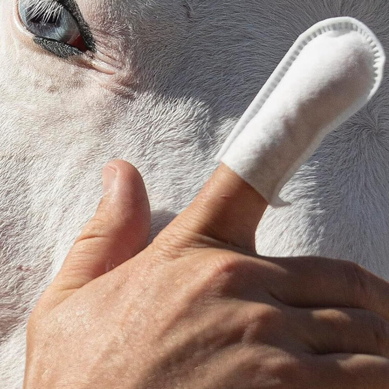 ARTERO Υγρά Μαντηλάκια για το Καθαρισμό των Ματιών