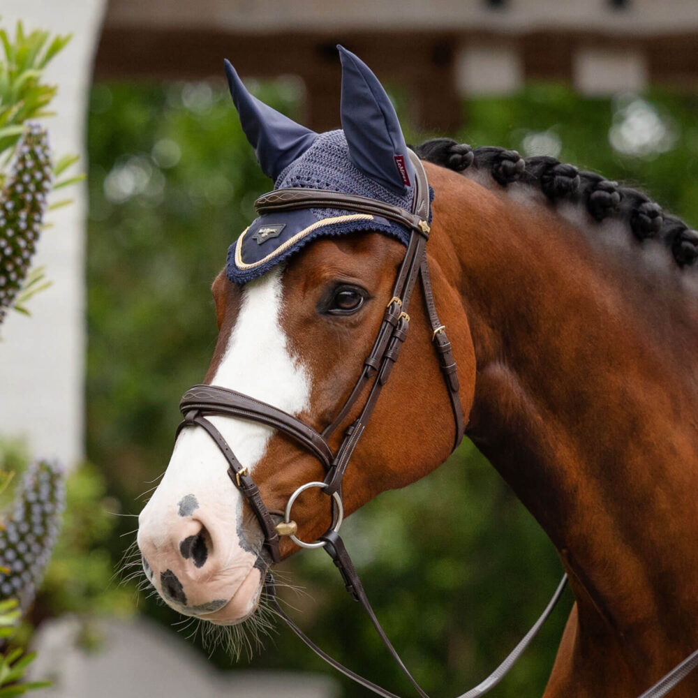 LeMieux Loire Κάλυπρο