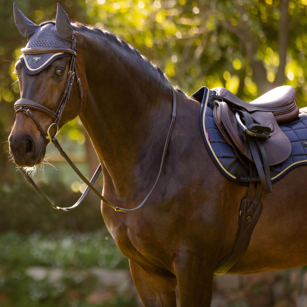 LeMieux Loire Κάλυπρο