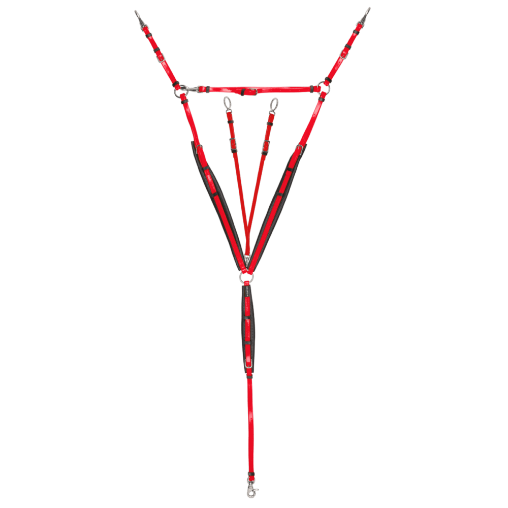 MOMPSO SPORT Pro Endurance Kit