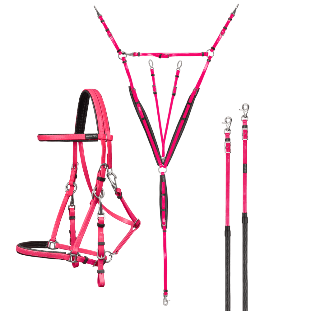 MOMPSO SPORT Pro Endurance Kit