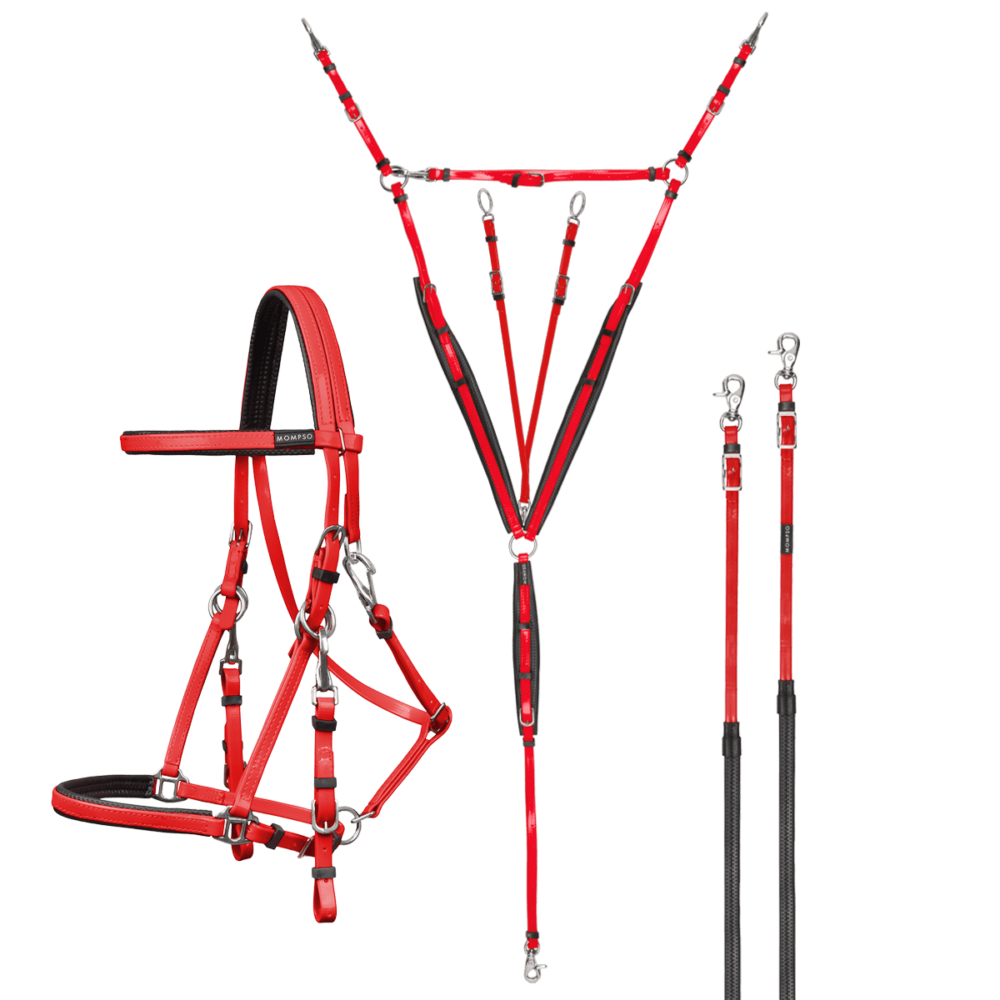 MOMPSO SPORT Pro Endurance Kit