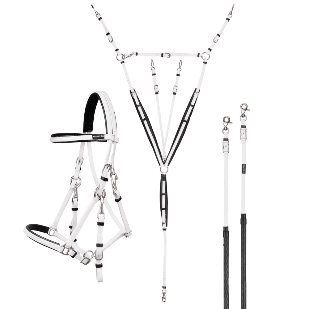 MOMPSO SPORT Pro Endurance Kit