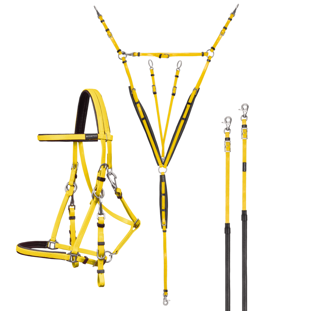 MOMPSO SPORT Pro Endurance Kit