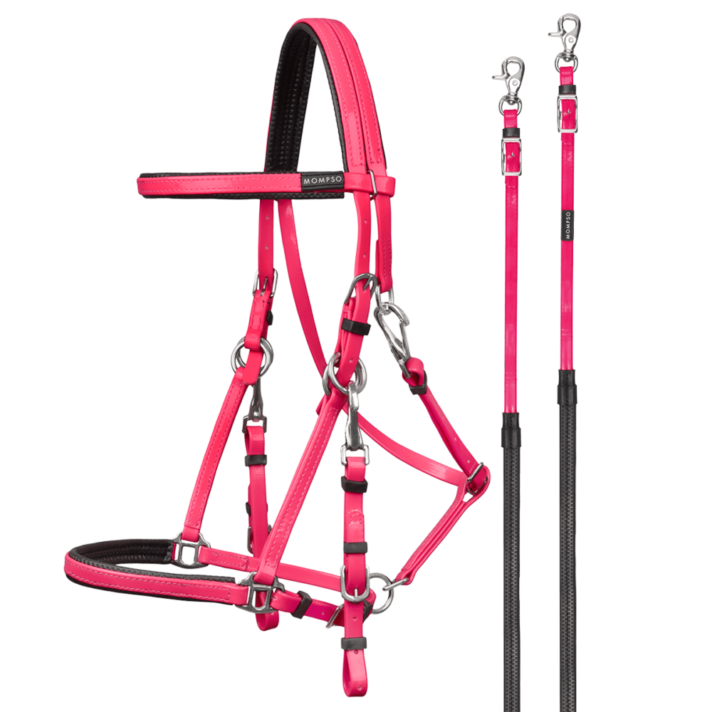MOMPSO SPORT Pro Marathon Bridle + Reins