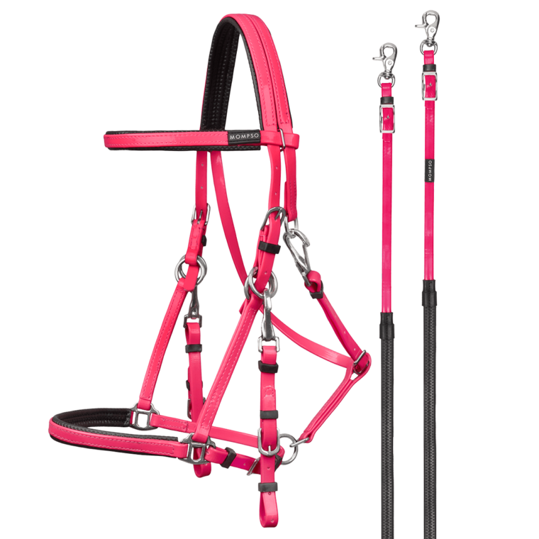 MOMPSO SPORT Pro Marathon Bridle + Reins