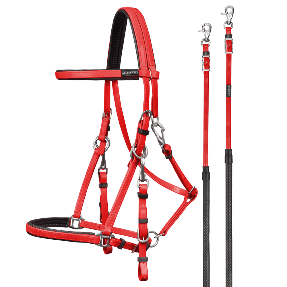 MOMPSO SPORT Pro Marathon Bridle + Reins