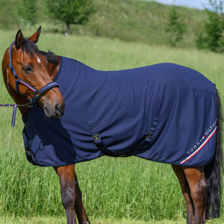 TOMMY HILFIGER Cornell Cooler Waffle Rug