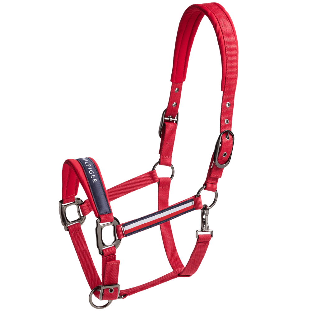TOMMY HILFIGER Lincoln Headcollar