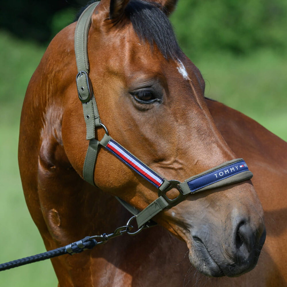 TOMMY HILFIGER Yale Καπίστρι με Οδηγό