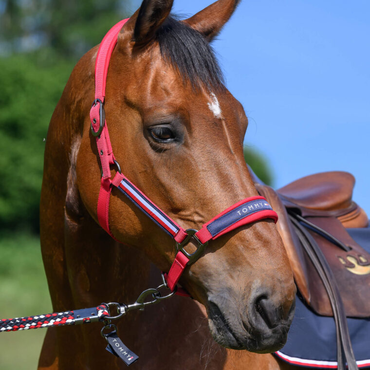 TOMMY HILFIGER Yale Καπίστρι με Οδηγό