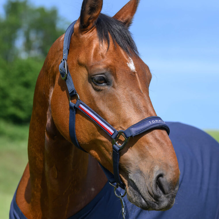 TOMMY HILFIGER Yale Καπίστρι με Οδηγό