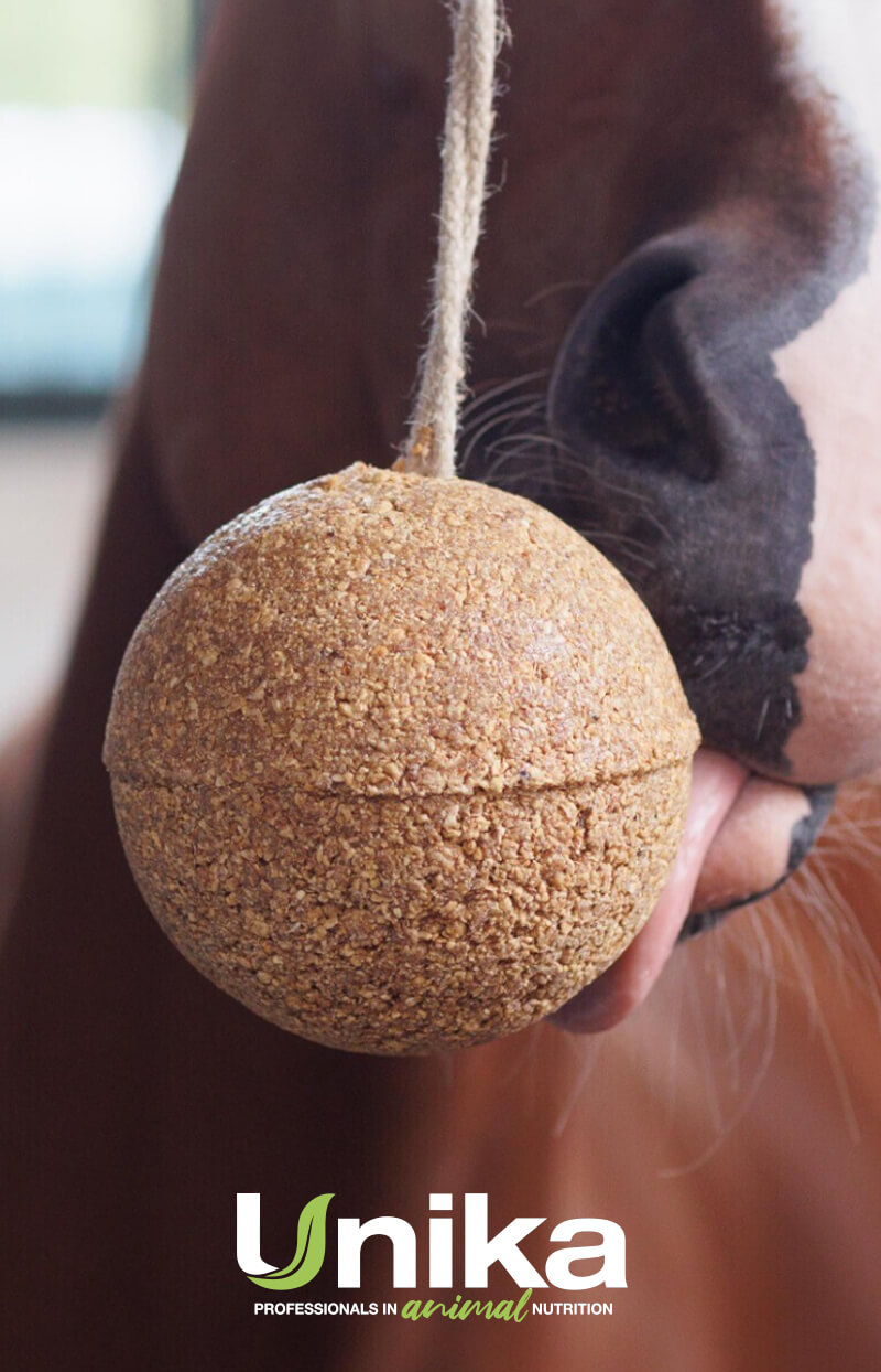 UNIKA Balls Endurance 1,8KG UNIKA Balls Endurance 1,8KG