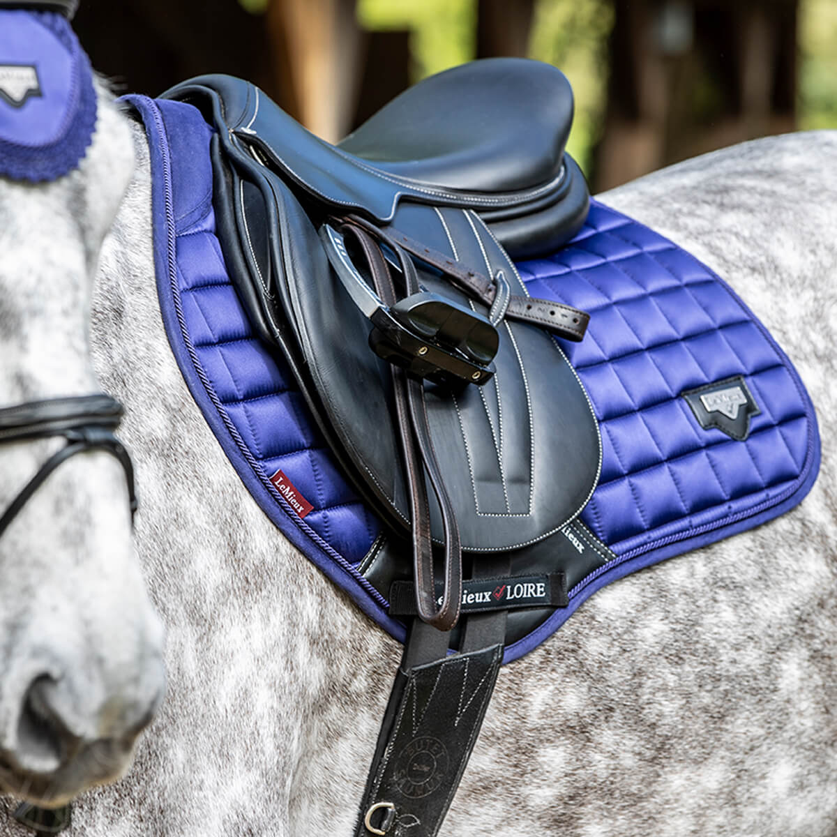 LeMieux Loire Memory CC Υπόσαγμα LeMieux Loire Memory CC Υπόσαγμα