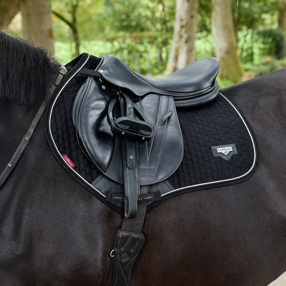 LEMIEUX Puissance Suede CC Υπόσαγμα