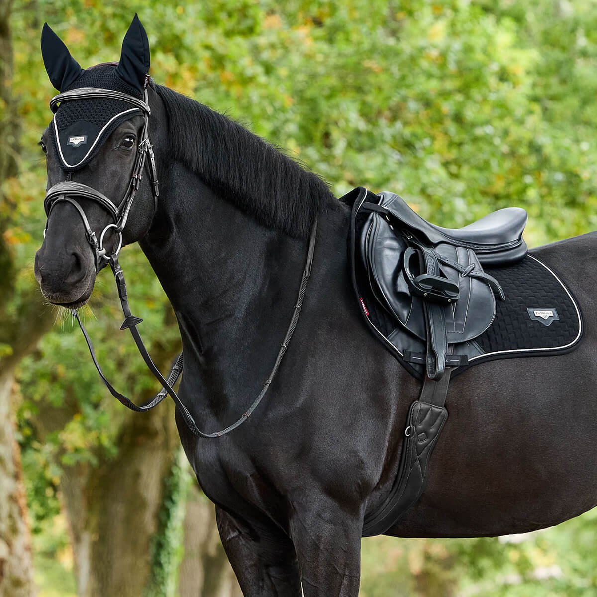 LEMIEUX Puissance Κάλυπρο LEMIEUX Puissance Κάλυπρο