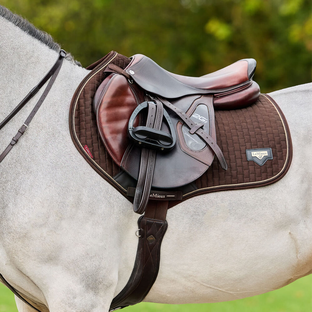 LEMIEUX Puissance Suede CC Υπόσαγμα