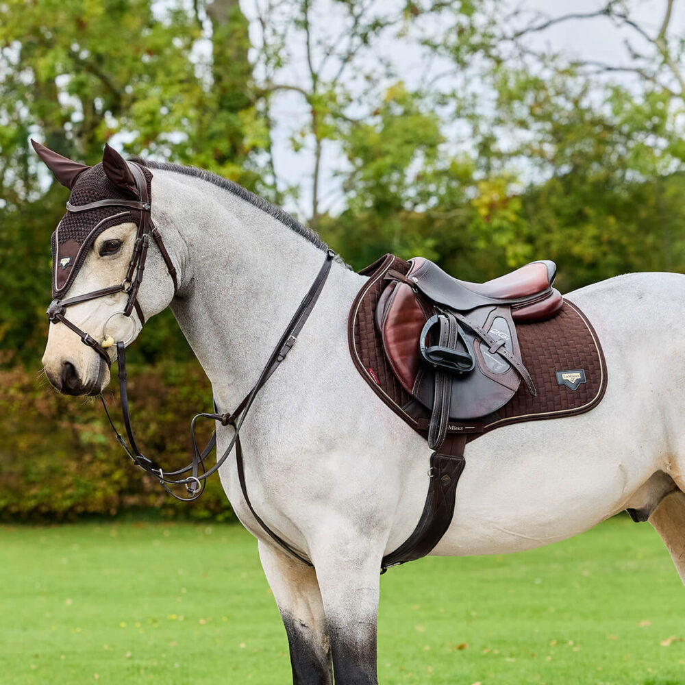 LEMIEUX Puissance Suede CC Υπόσαγμα