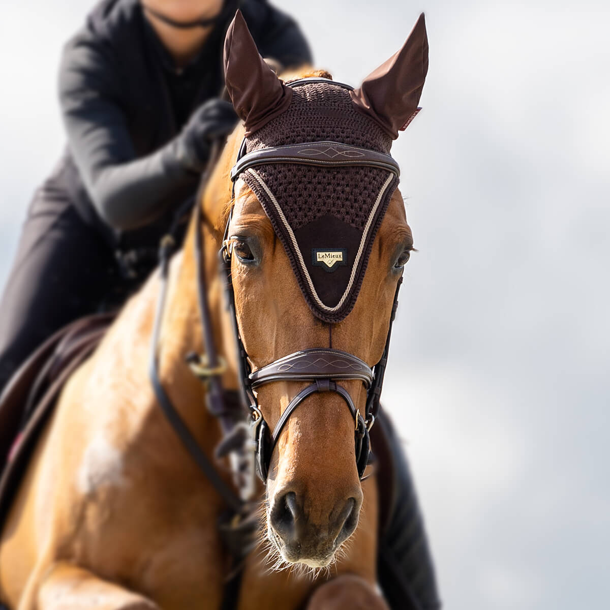 LEMIEUX Puissance Κάλυπρο LEMIEUX Puissance Κάλυπρο