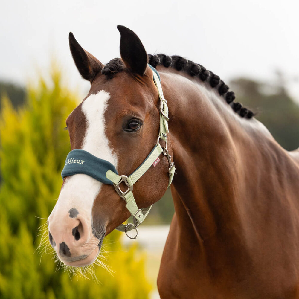 LEMIEUX Vogue Kαπίστρι + Οδηγός