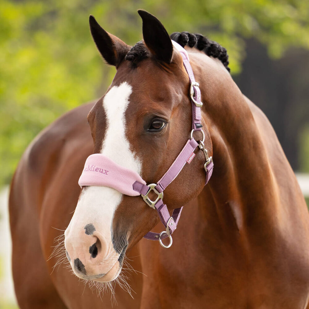 LEMIEUX Vogue Kαπίστρι + Οδηγός