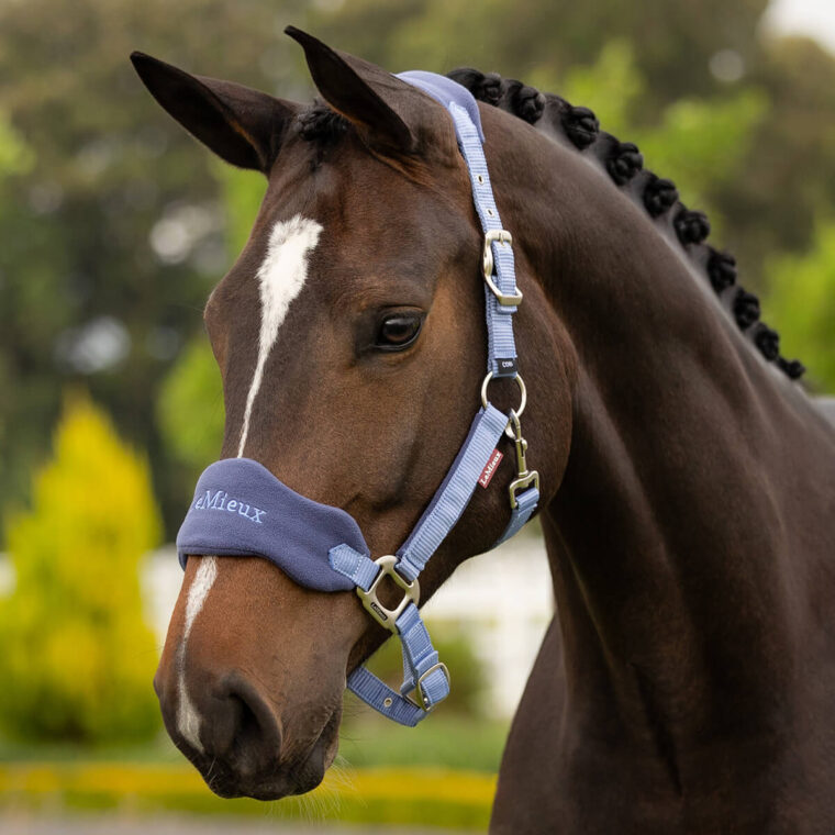 LEMIEUX Vogue Kαπίστρι + Οδηγός