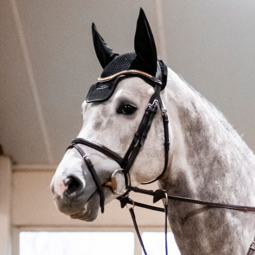 AA Performance Ear Net Κάλυπτρο