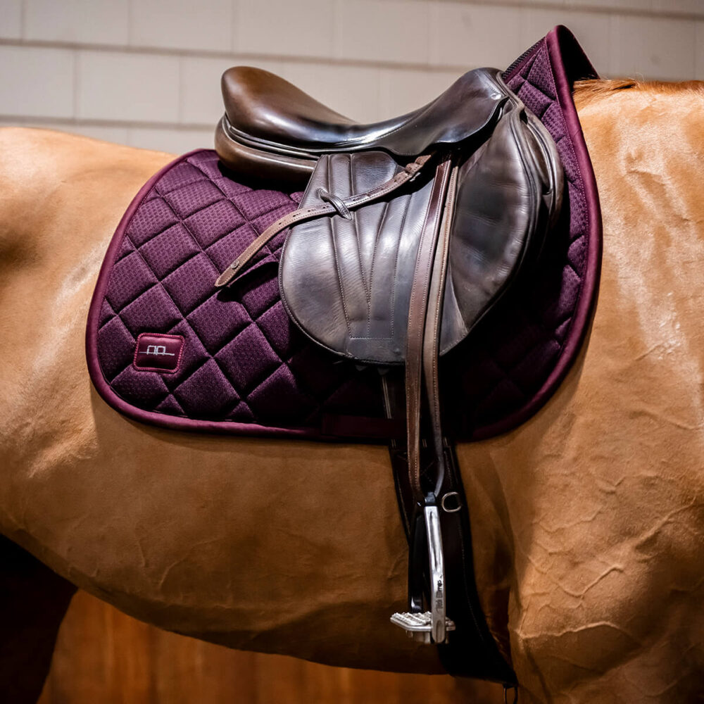 AA Performance Jumping Υπόσαγμα