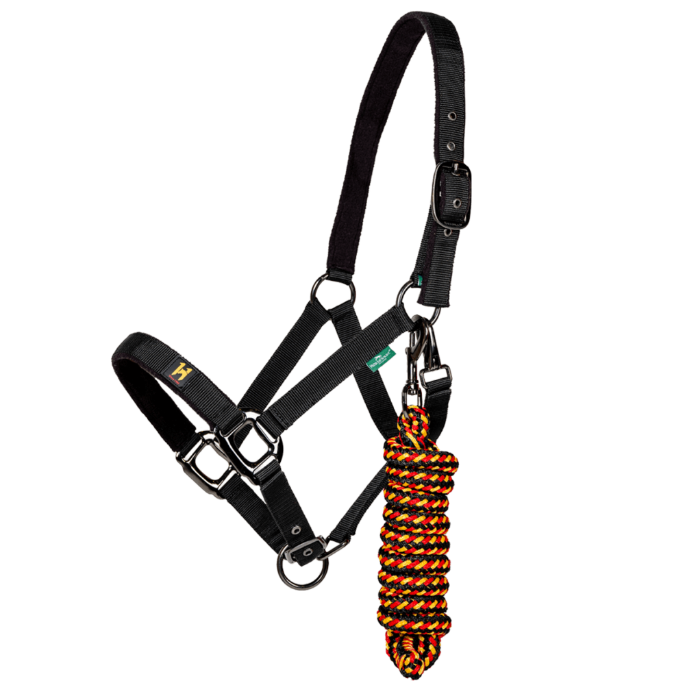 HORSEWARE Newmarket Καπίστρι + Οδηγός