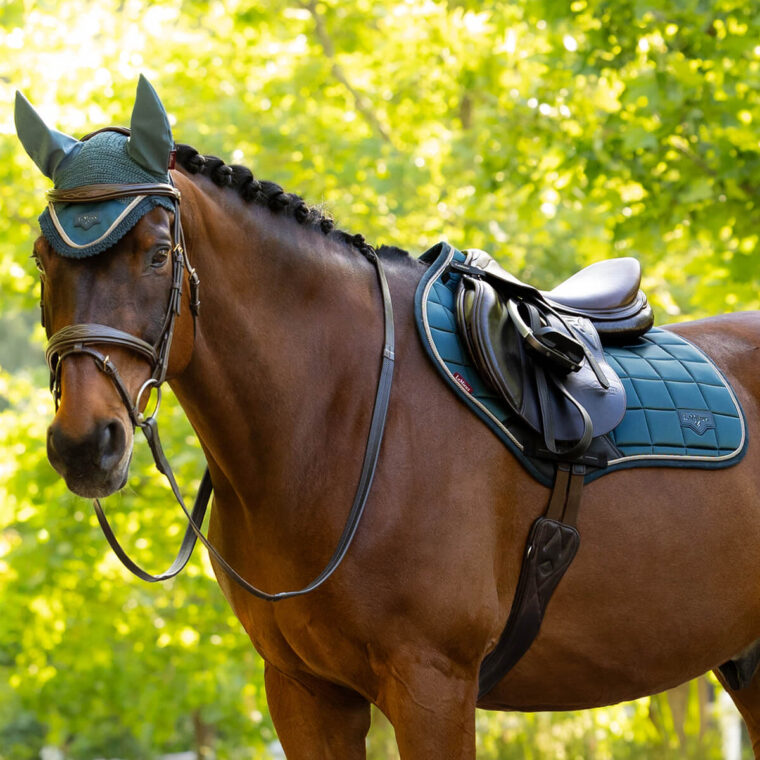 LeMieux Loire CC Υπόσαγμα + Κάλυπτρο
