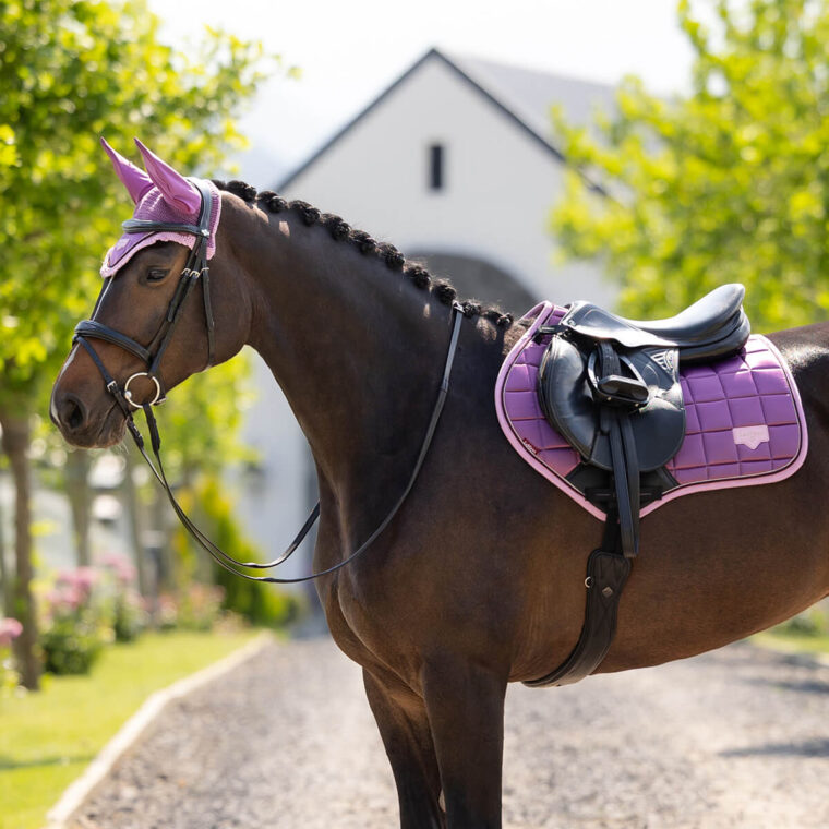 LeMieux Loire CC Υπόσαγμα + Κάλυπτρο