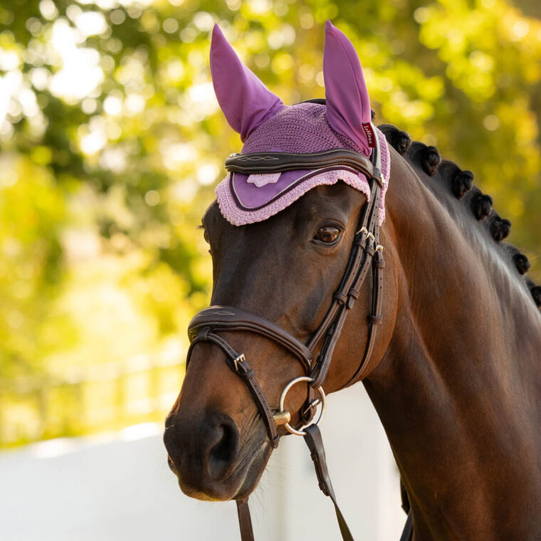 LeMieux Loire Κάλυπρο