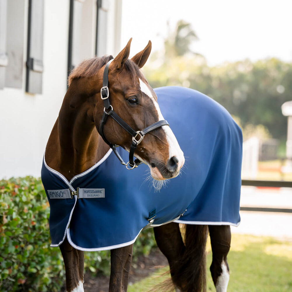 HORSEWARE Amigo®Αντιιδρωτικό κάλυμμα + Κουβέρτα Στάβλου