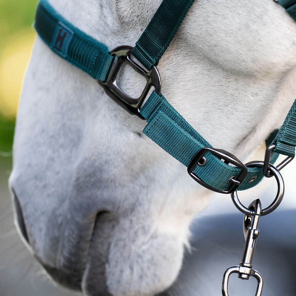 HORSEWARE Newmarket Καπίστρι + Οδηγός