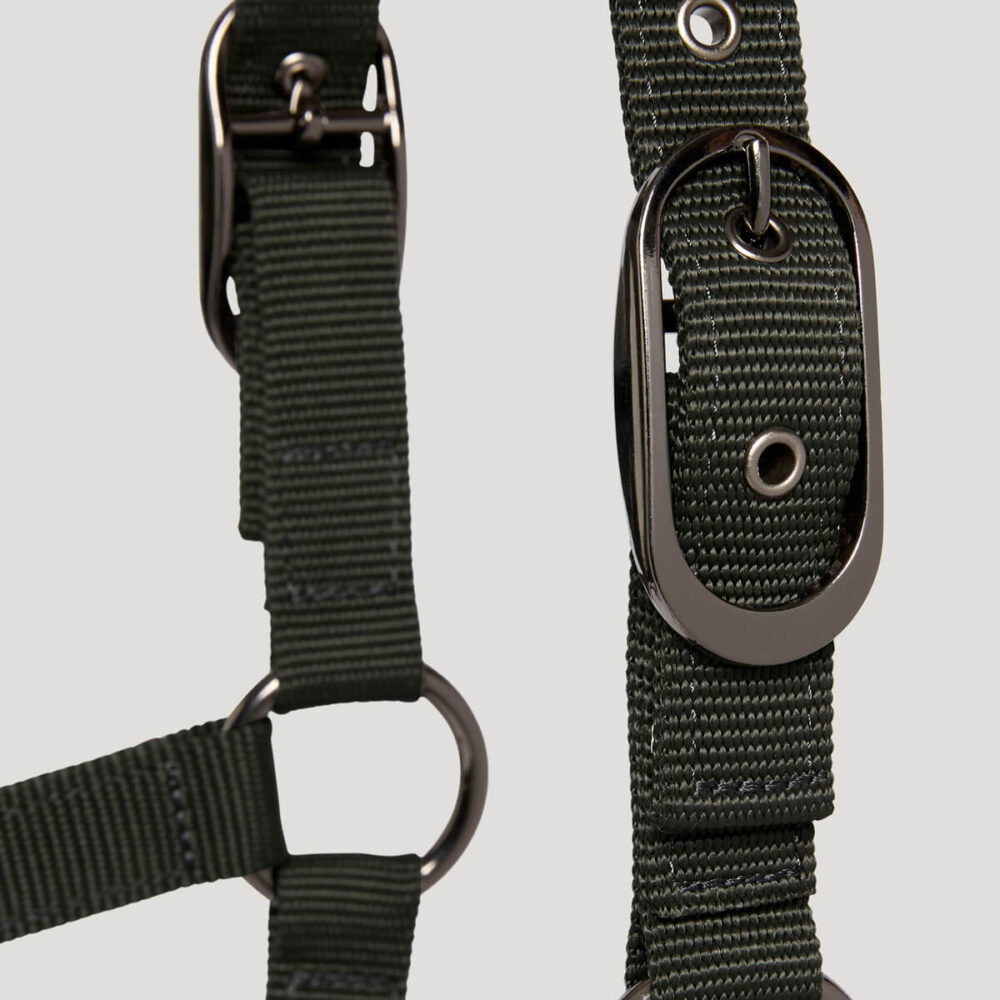 TOMMY HILFIGER Yale Καπίστρι με Οδηγό