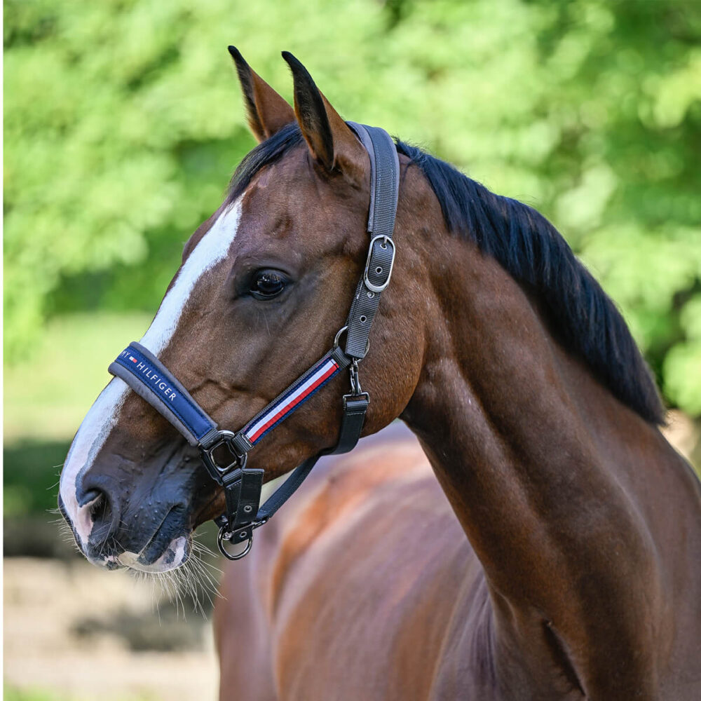 TOMMY HILFIGER Yale Καπίστρι με Οδηγό