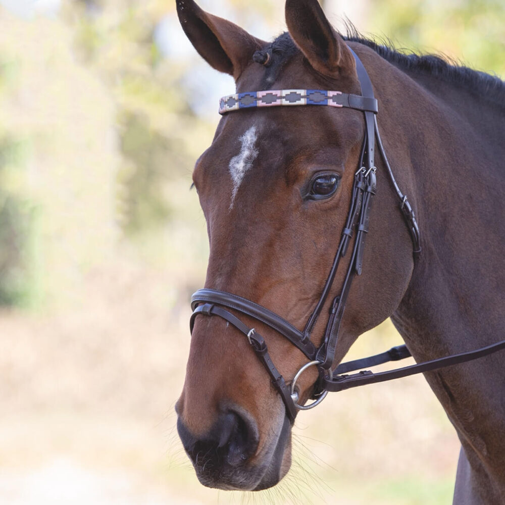 VELOCITI GARA Polo Δερμάτινη Προμετωπίδα