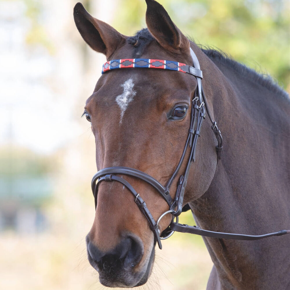 VELOCITI GARA Polo Δερμάτινη Προμετωπίδα
