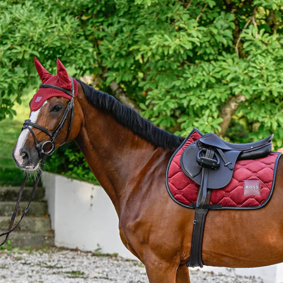 BOSS EQUESTRIAN Velvet Jumping pad BOSS EQUESTRIAN Velvet Jumping pad