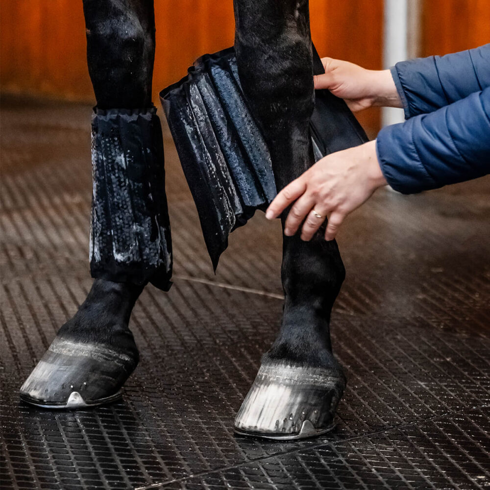 HORSEWARE Ice-Vibe® Boots (2x)