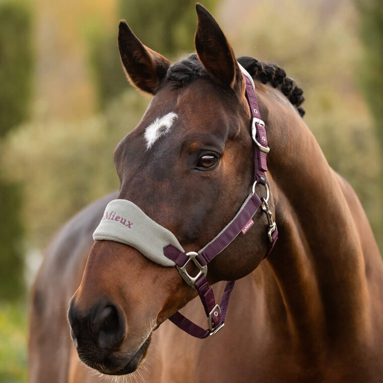 LEMIEUX Vogue Kαπίστρι + Οδηγός