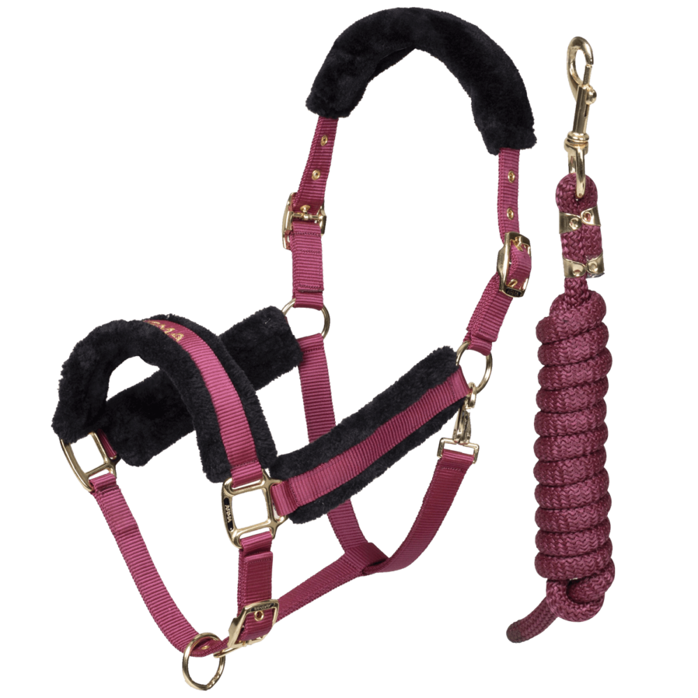 ARMA Signature Faux Fur Καπίστρι + Oδηγός