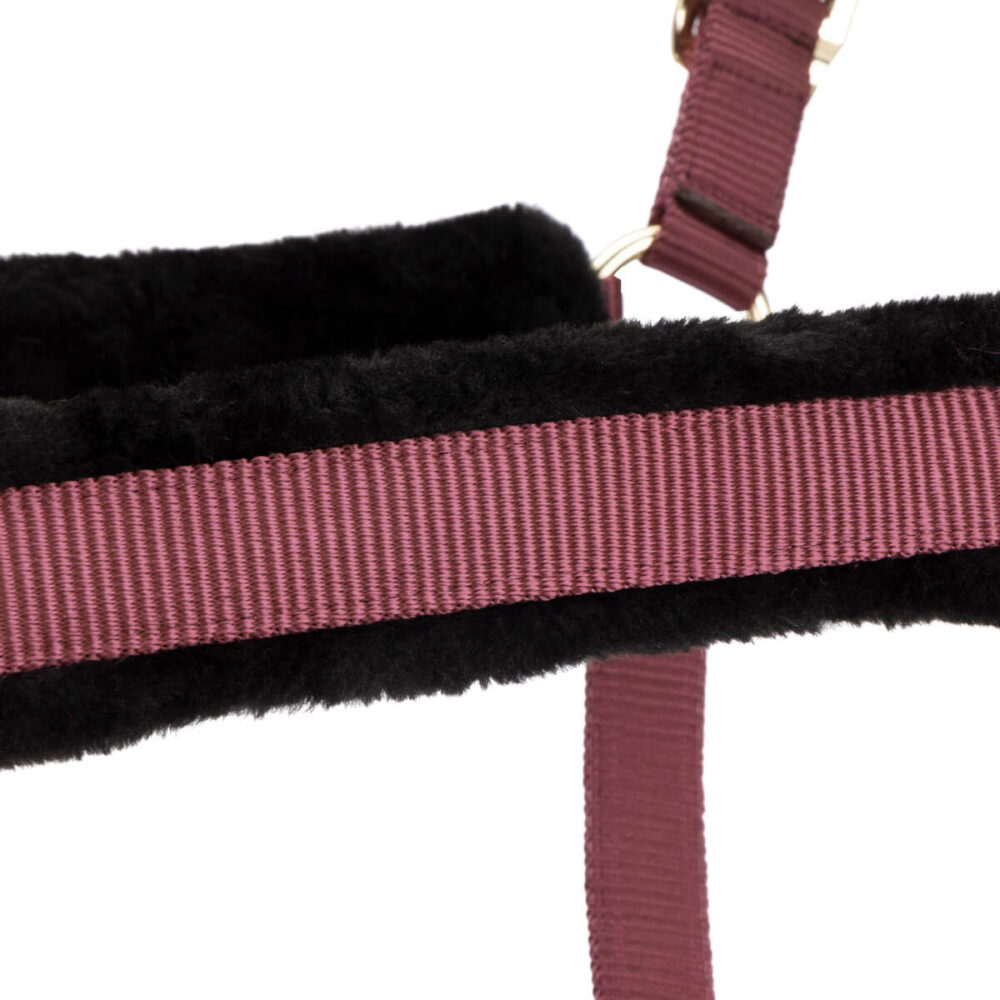 ARMA Signature Faux Fur Καπίστρι + Oδηγός