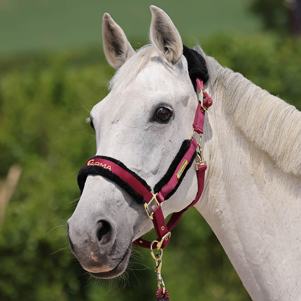 ARMA Signature Faux Fur Καπίστρι + Oδηγός