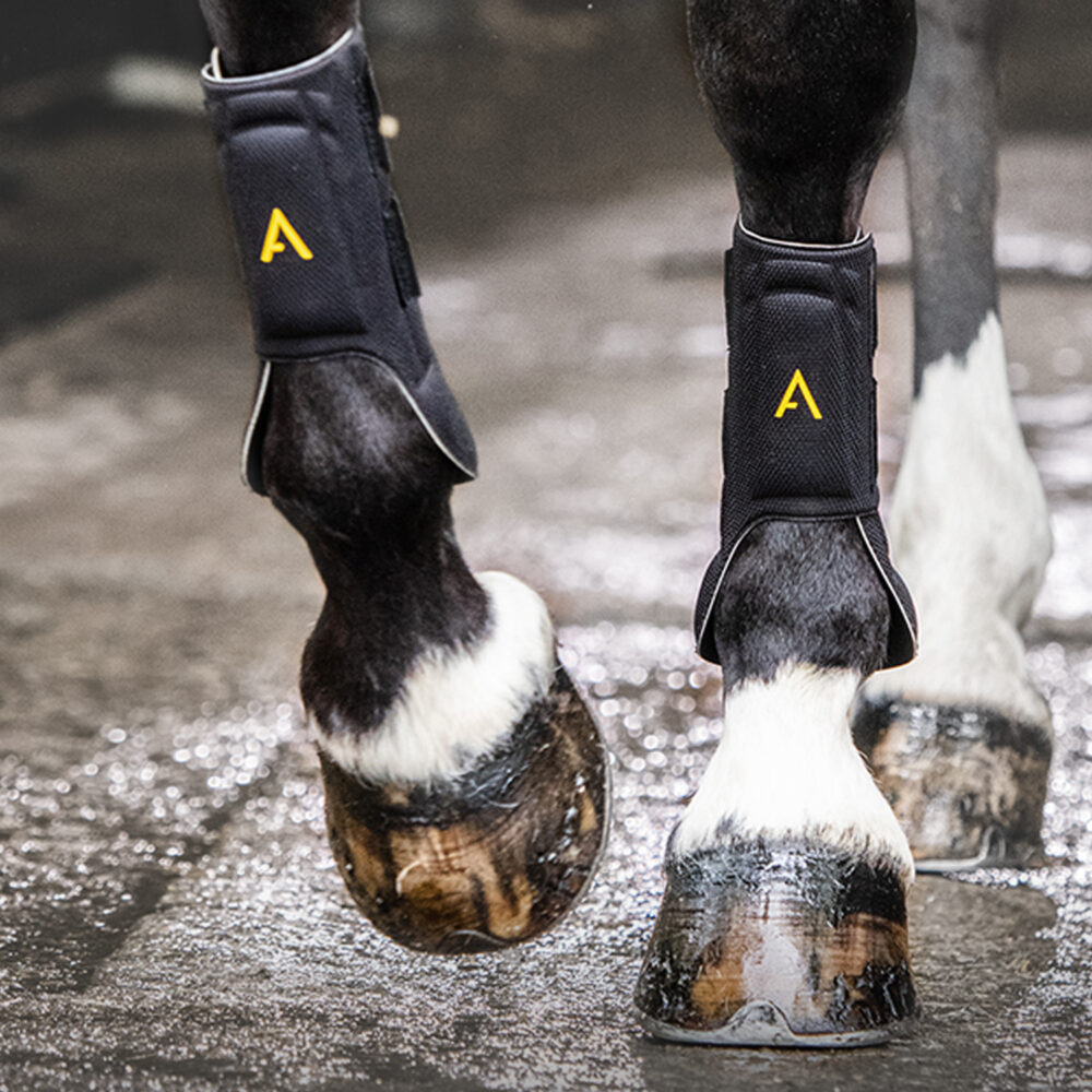 HORSEWARE Adagio Protective Boots