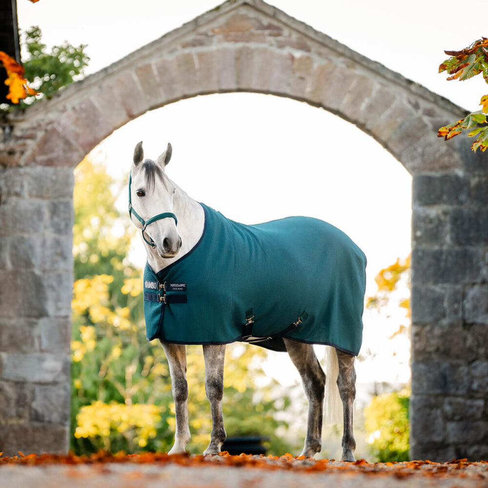 HORSEWARE Rambo® Tech Waffle Cooler