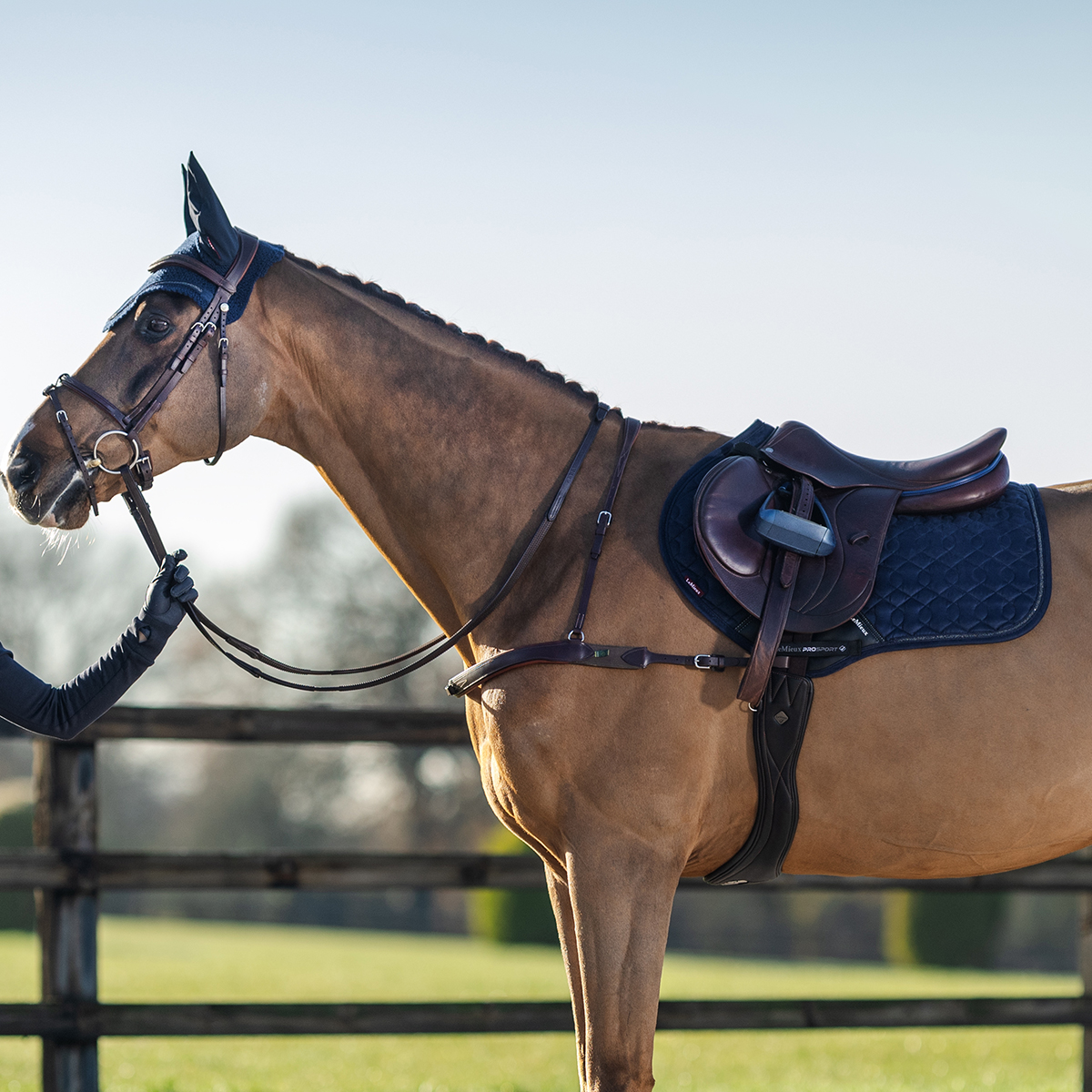 LEMIEUX Crystal Suede Close Contact Υπόσαγμα + Κάλυπτρο LEMIEUX Crystal Suede Close Contact Υπόσαγμα + Κάλυπτρο