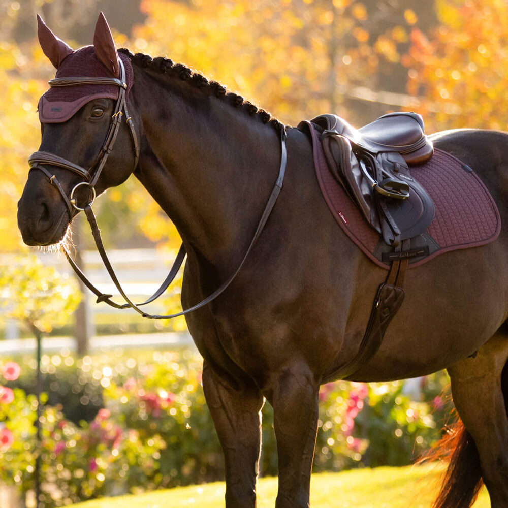 LEMIEUX Essence EuroJump Square Υπόσαγμα