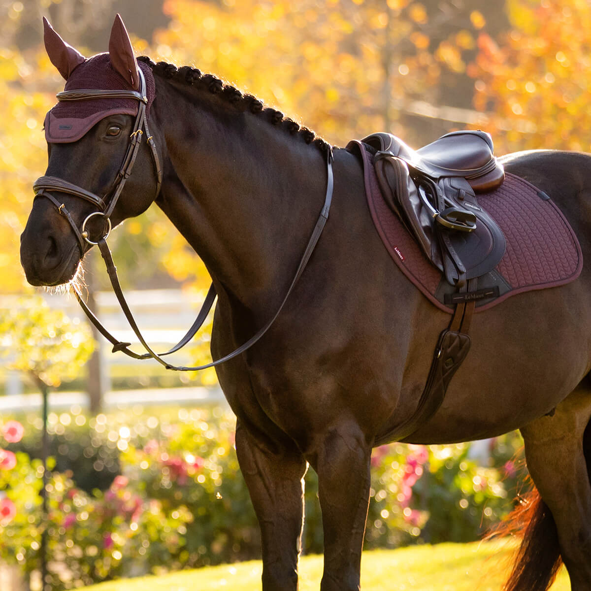 LEMIEUX Essence EuroJump Square Υπόσαγμα LEMIEUX Essence EuroJump Square Υπόσαγμα