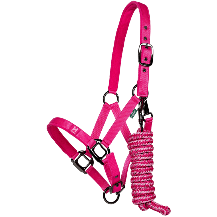 HORSEWARE Newmarket® Καπίστρι + Οδηγός